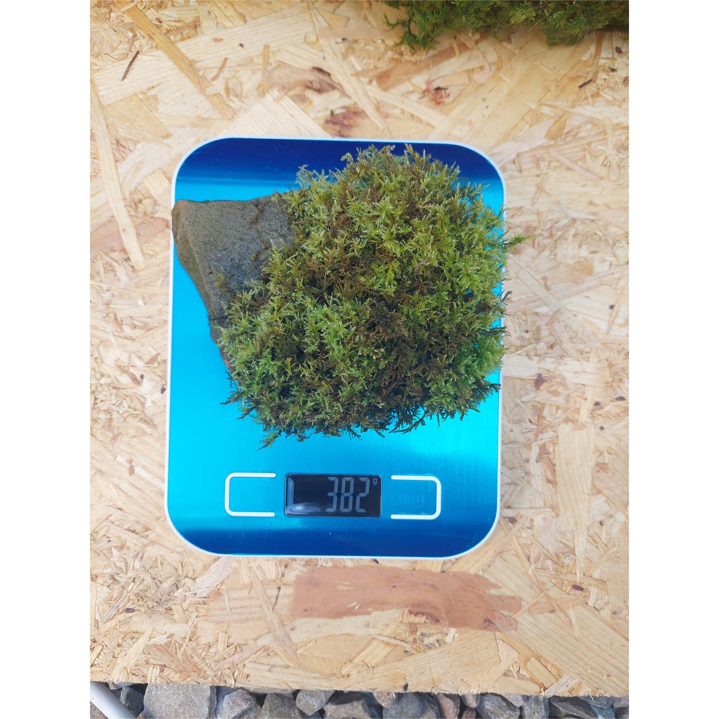 Medium Mossy Rock 2