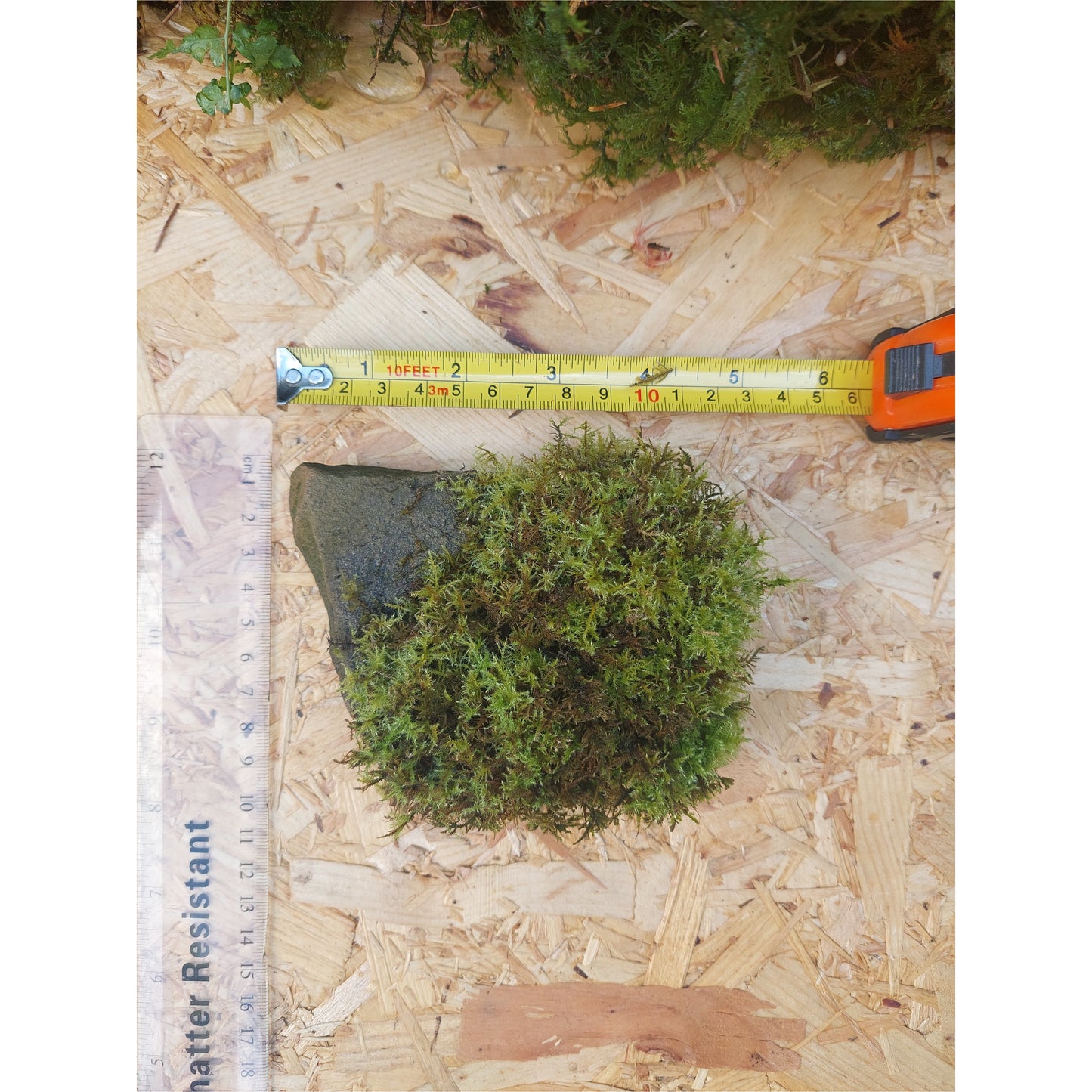 Medium Mossy Rock 2