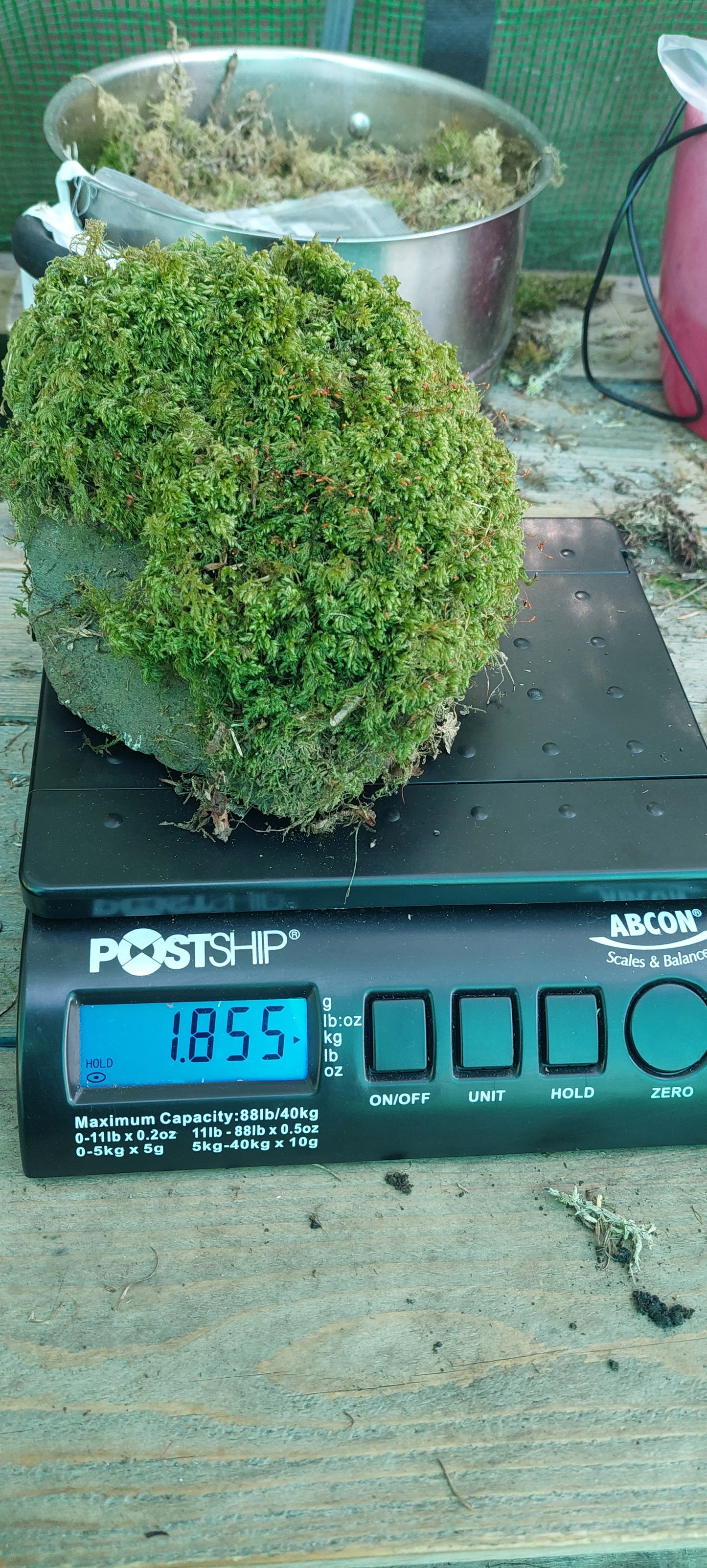Moss on Rocks