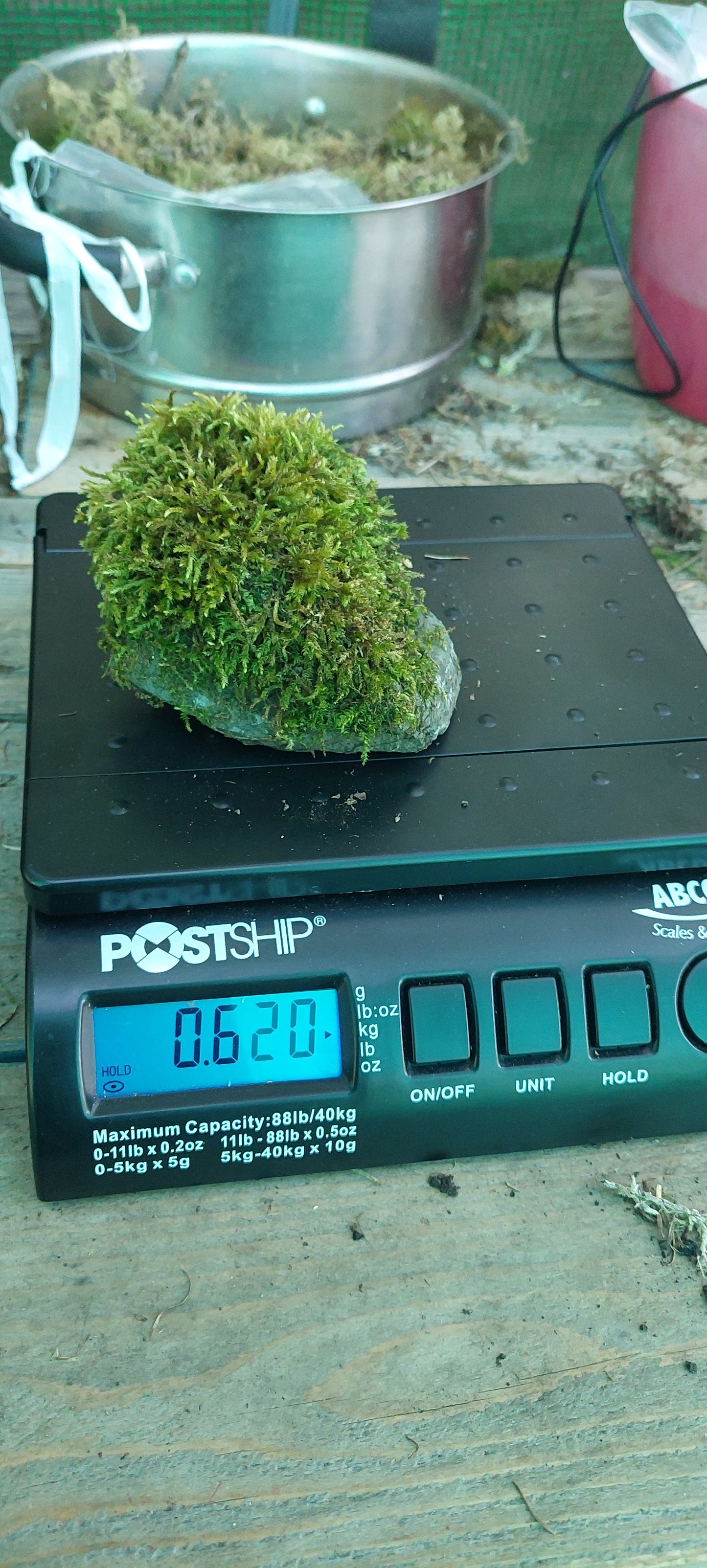 Moss on Rocks