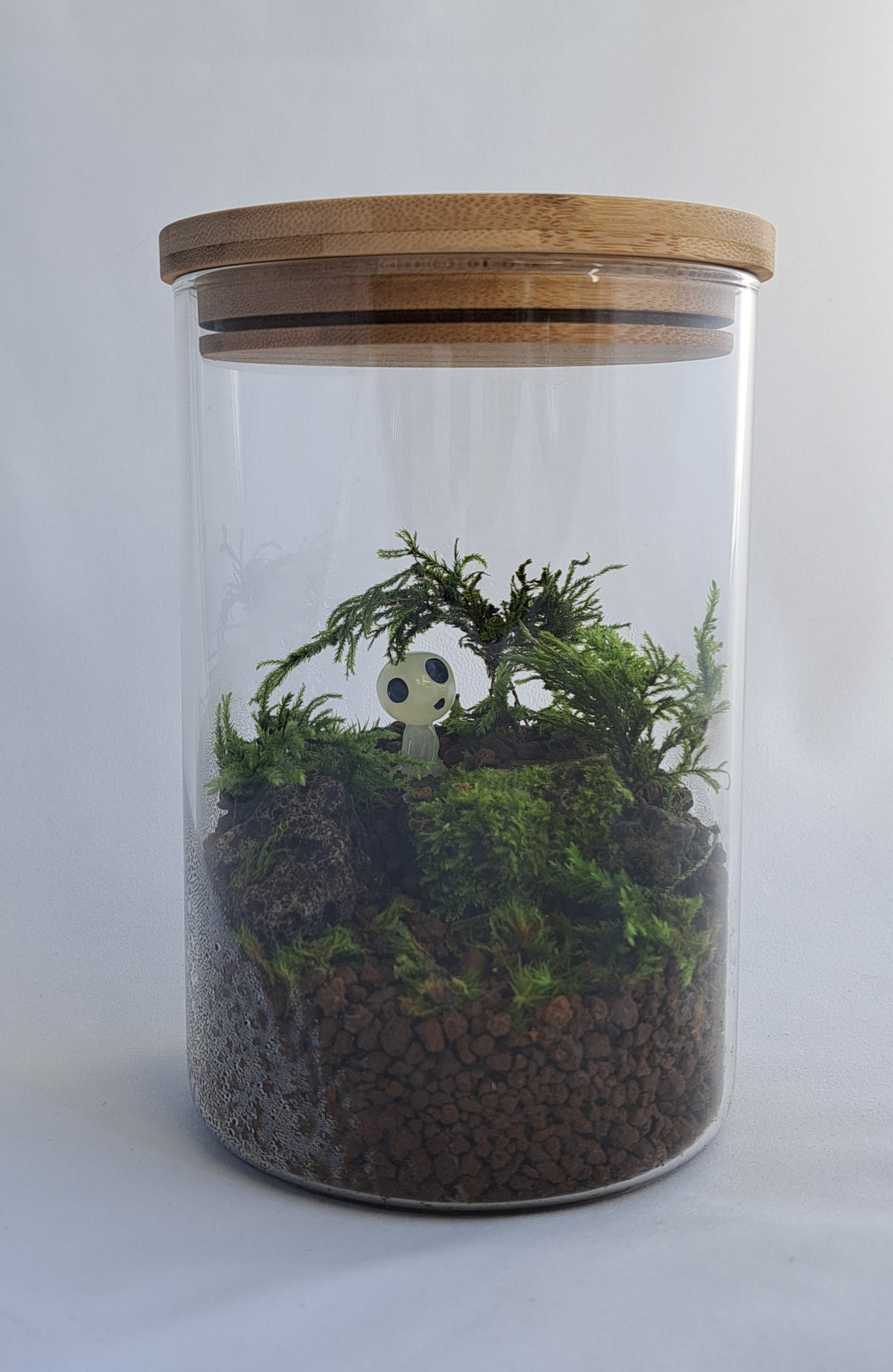 Accessories, Decorations & Props