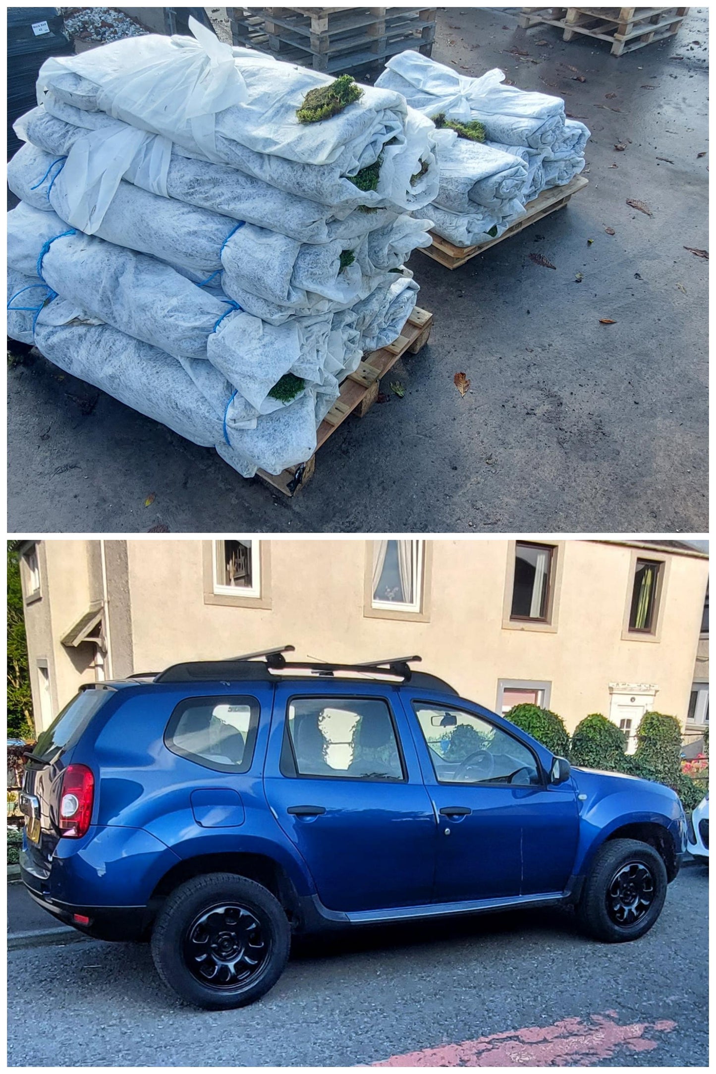 Moss Clerks Installment