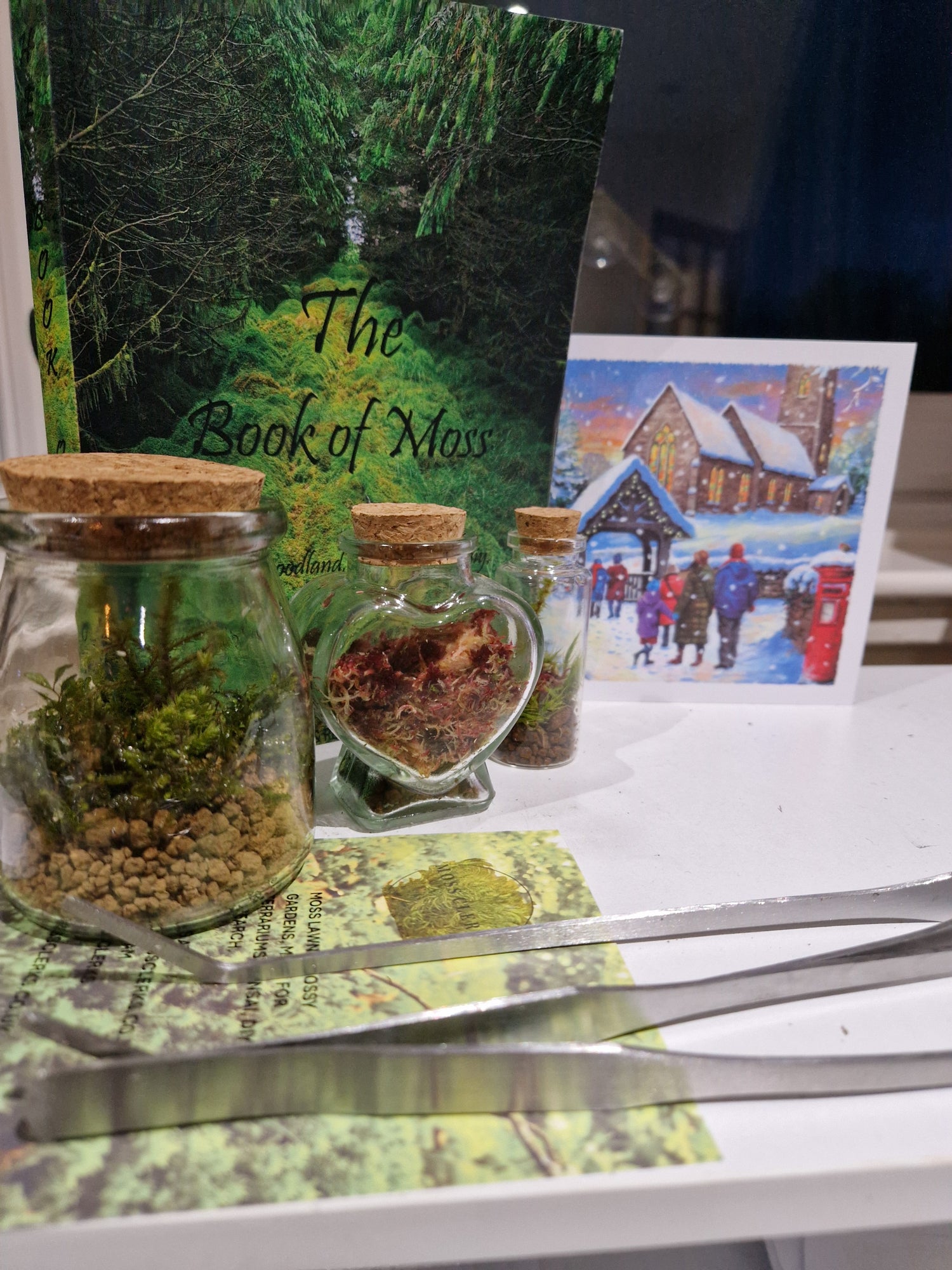 Mossariums, Mossarium Kits & Accessories