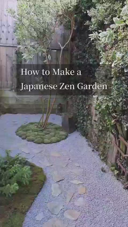 Garden Design/Site visit/Landscaping/Plants