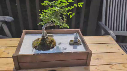 Miniature Kyoto Zen Gardens