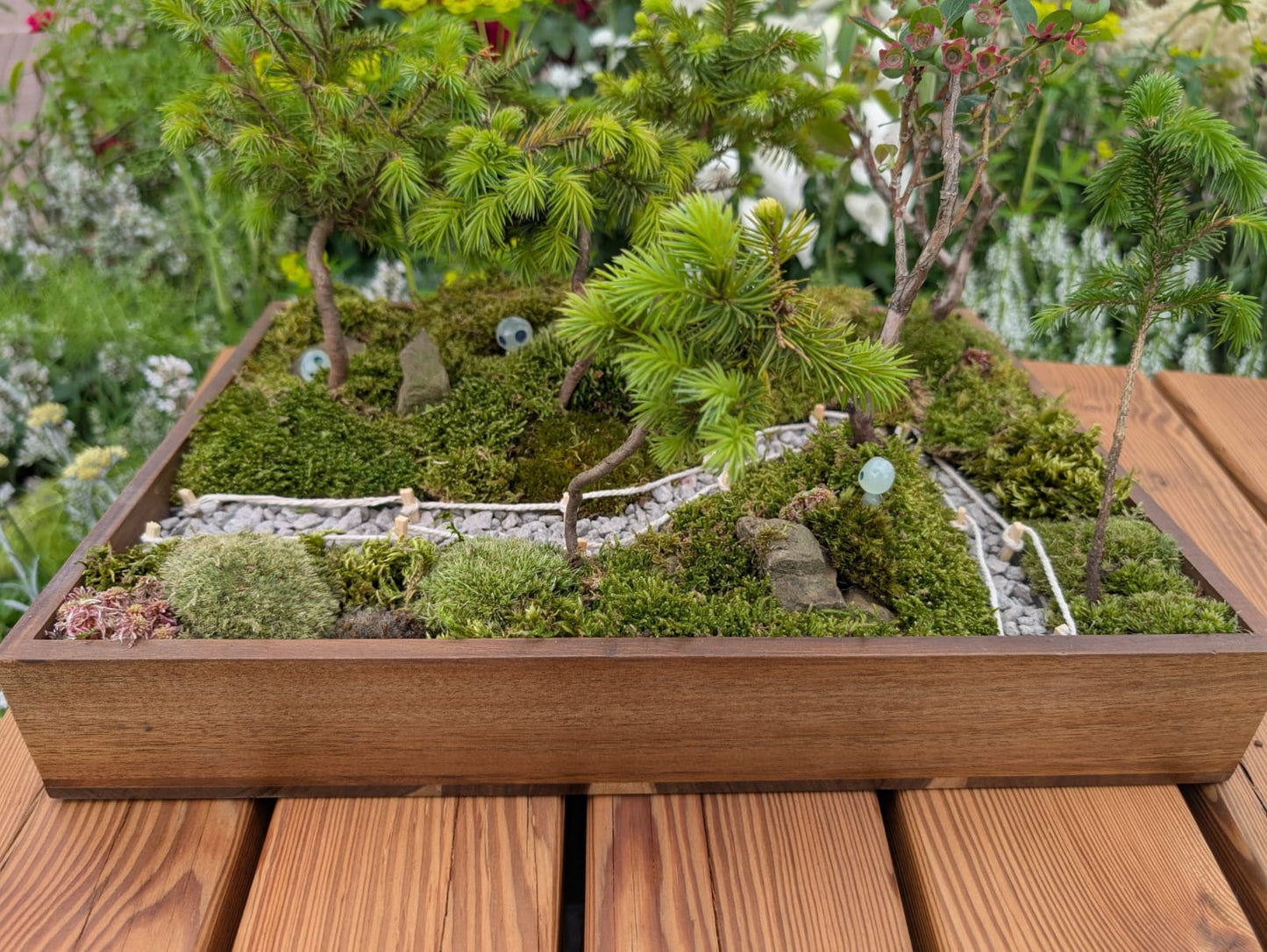 Miniature Kyoto Zen Gardens