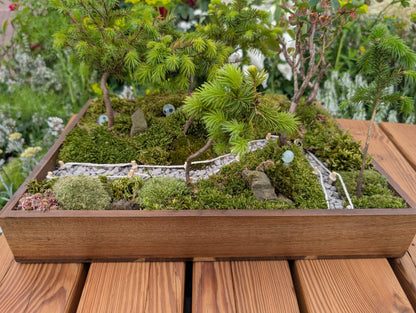 Miniature Kyoto Zen Gardens