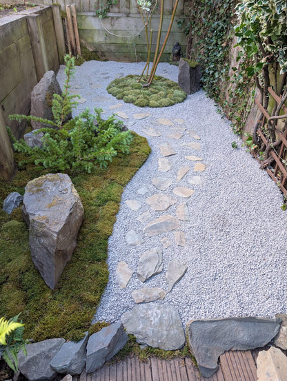 Garden Design/Site visit/Landscaping/Plants