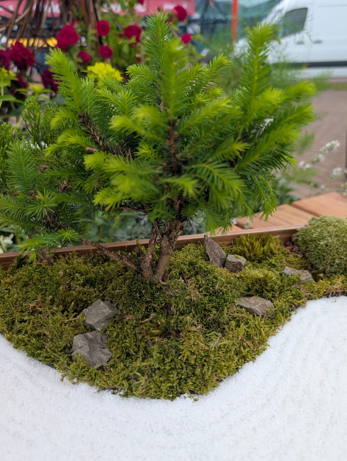 Miniature Kyoto Zen Gardens