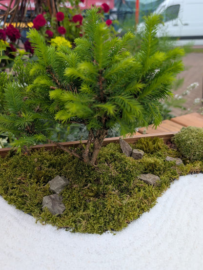 Miniature Kyoto Zen Gardens
