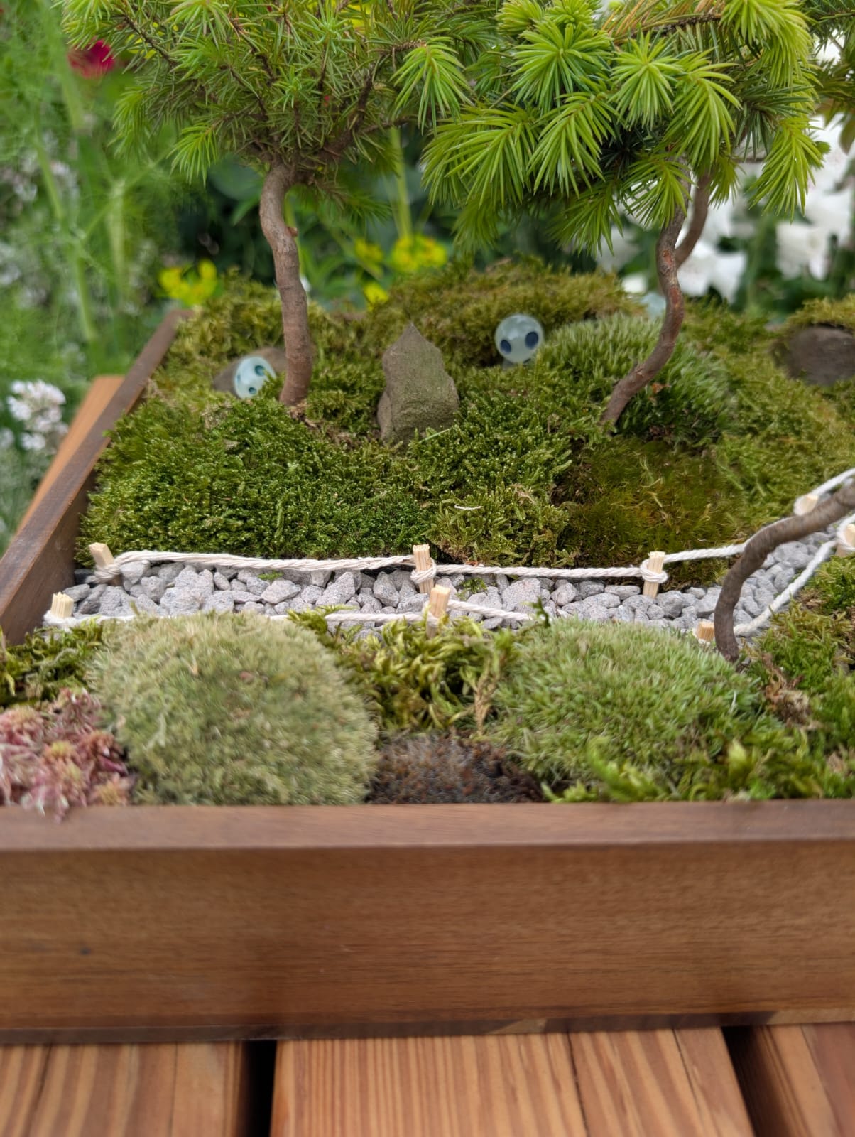 Miniature Kyoto Zen Gardens