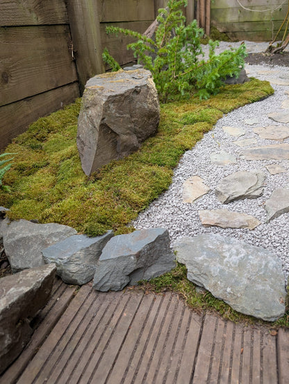 Garden Design/Site visit/Landscaping/Plants