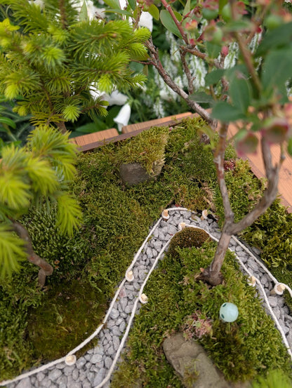 Miniature Kyoto Zen Gardens