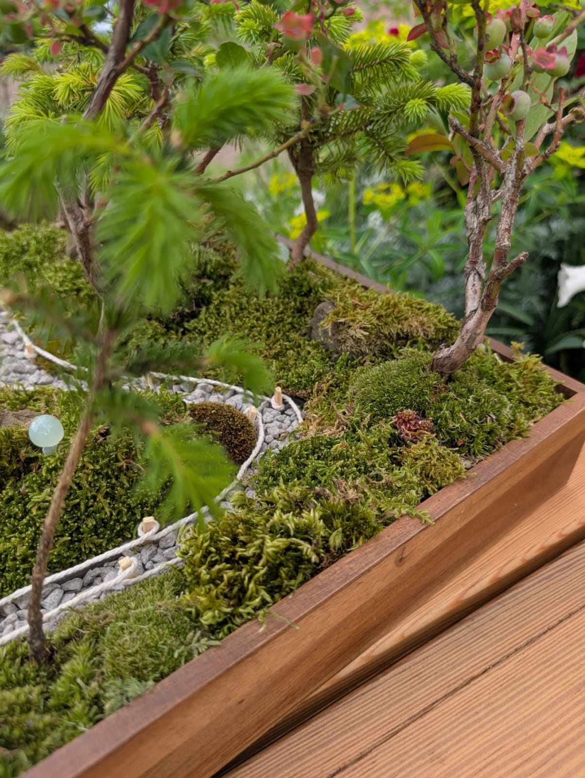 Miniature Kyoto Zen Gardens