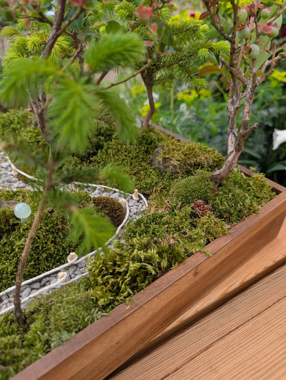 Miniature Kyoto Zen Gardens