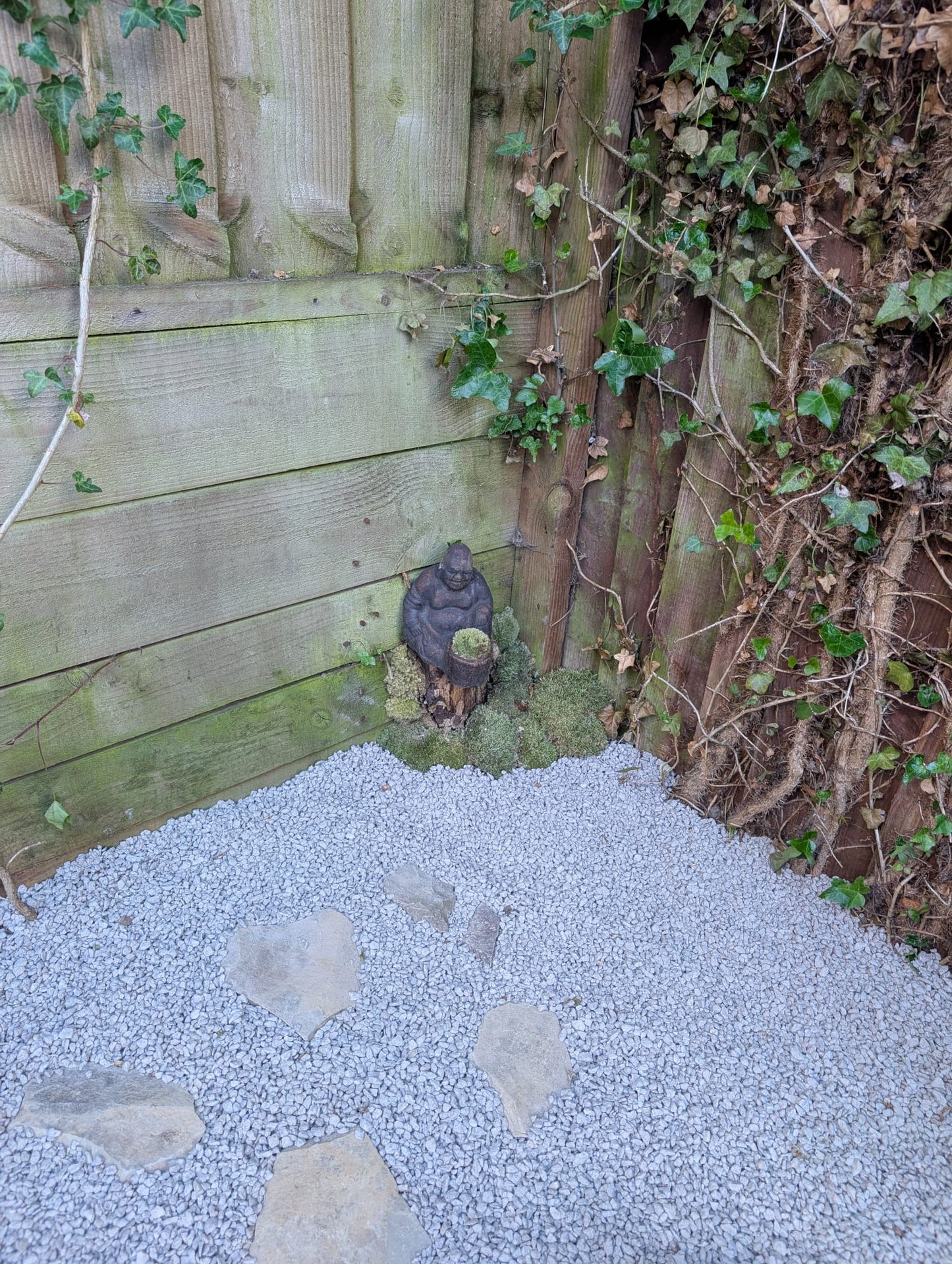 Garden Design/Site visit/Landscaping/Plants