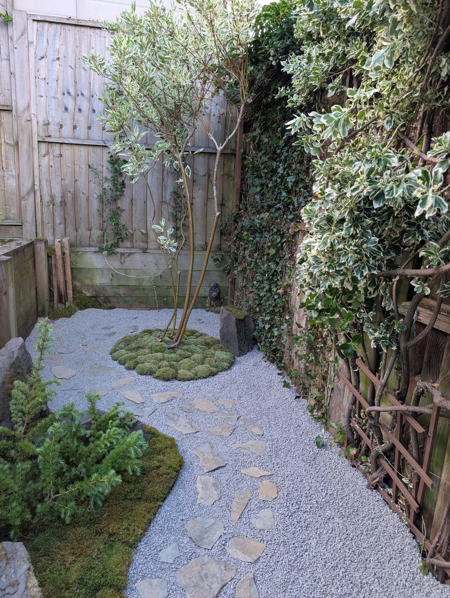 Garden Design/Site visit/Landscaping/Plants