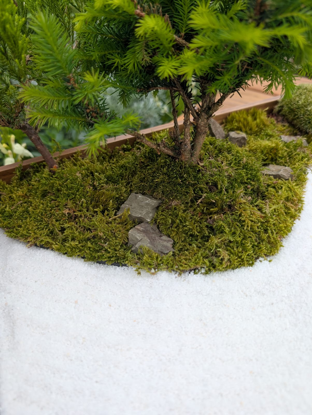 Miniature Kyoto Zen Gardens