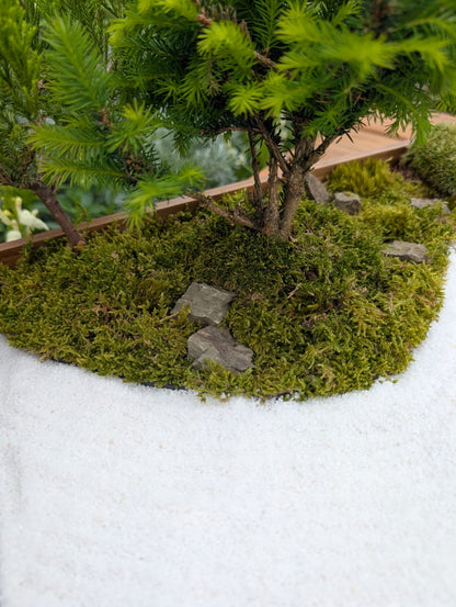 Miniature Kyoto Zen Gardens