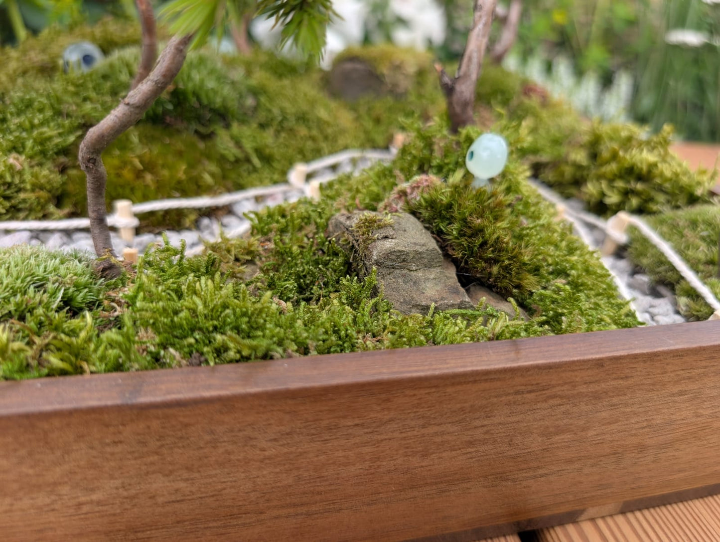 Miniature Kyoto Zen Gardens