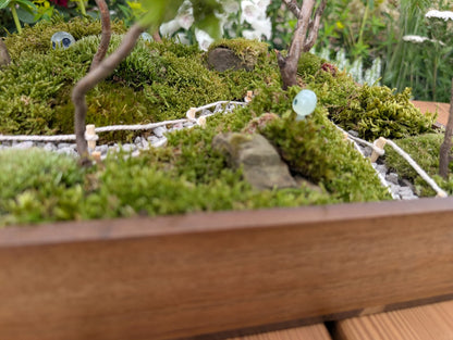 Miniature Kyoto Zen Gardens