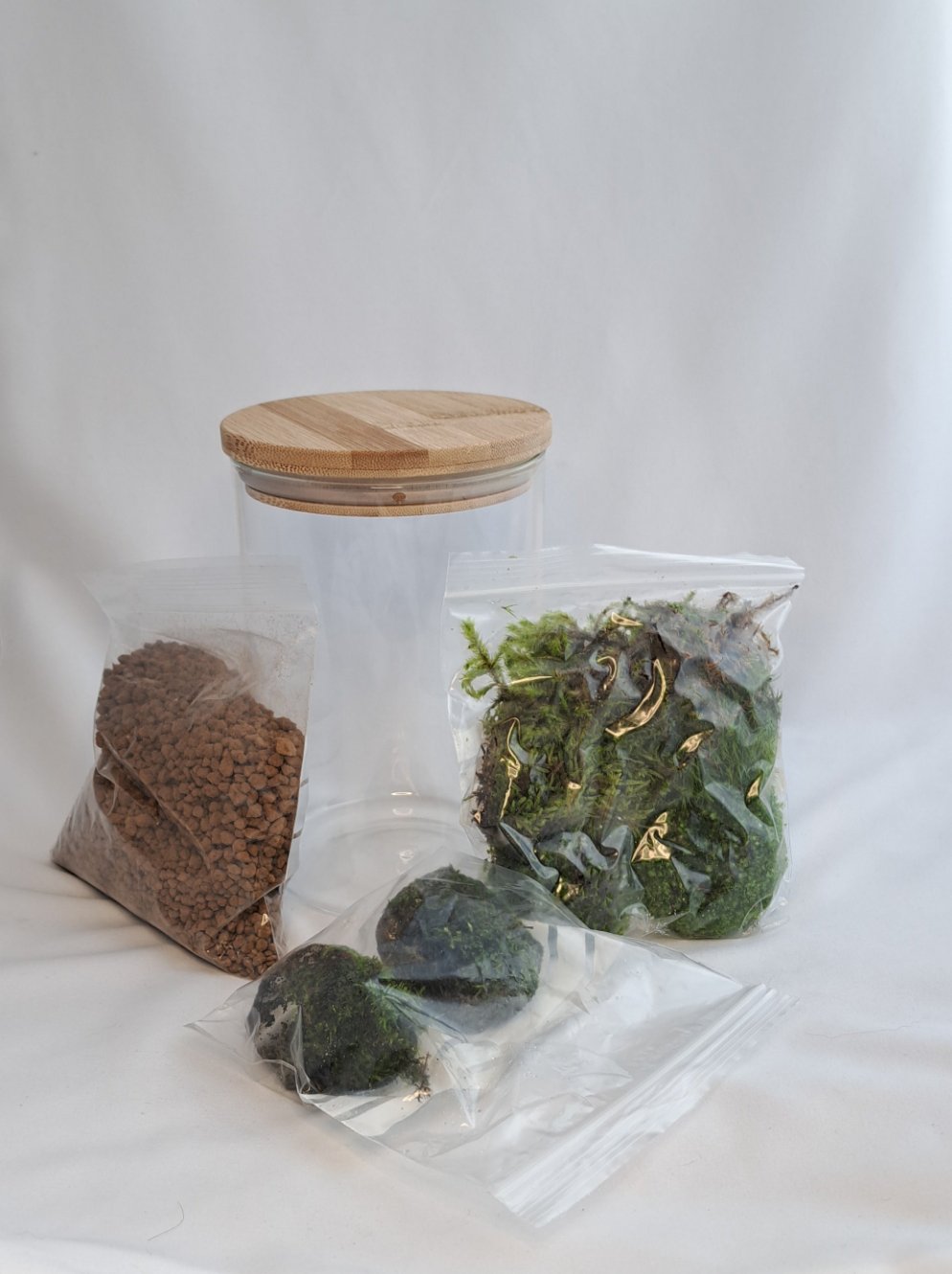 Mossarium Kit Bamboo Lid Jar