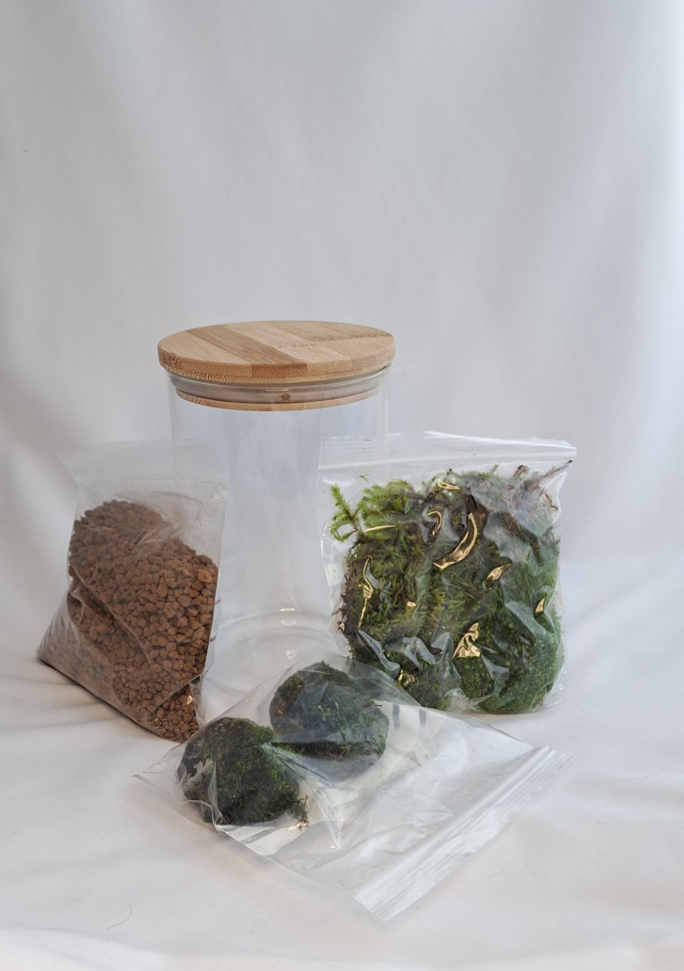 Mossarium Kit Cork Jar