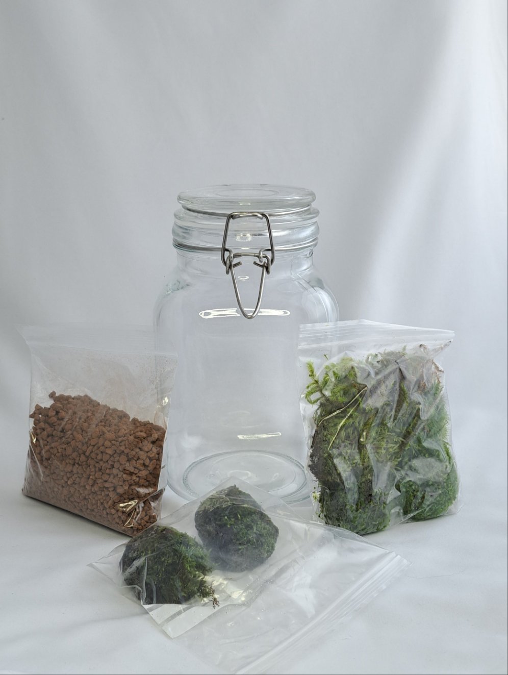 Mossarium Kit Large – Moss Clerks