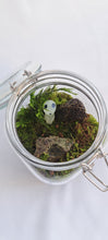 Load image into Gallery viewer, Mossarium Kit Small
