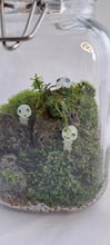 Load image into Gallery viewer, Mossarium Kit Bamboo Lid Tall Jar
