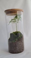 Load image into Gallery viewer, Mossarium Kit Bamboo Lid Tall Jar
