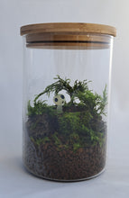 Load image into Gallery viewer, Mossarium Kit Bamboo Lid Jar
