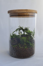 Load image into Gallery viewer, Mossarium Kit Cork Jar
